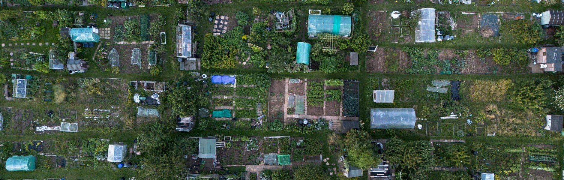 Rentomojo IPO allotment