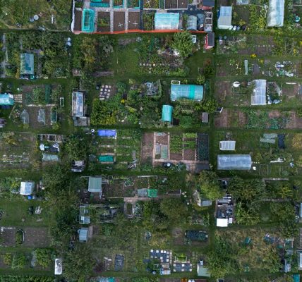 Rentomojo IPO allotment