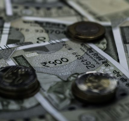 India economy growth