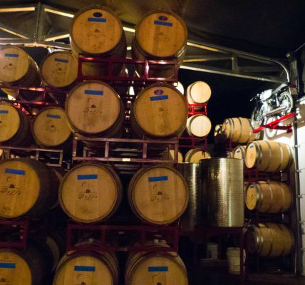liquor stocks rally